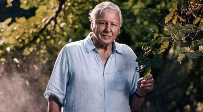 HABERİM 724 | 94 yaşında Instagram rekoru kıran David Attenborough kim?