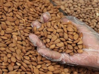 HABERİM 724 | Acı kayısı çekirdeği kanser hücrelerini önlüyor