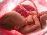 HABERİM 724 | Sigaraya maruz kalanların kansere yakalanma riski yüzde 30