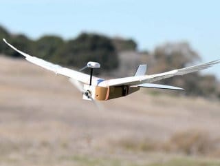 HABERİM 724 | Gerçek güvercin tüylerine sahip uçan robot