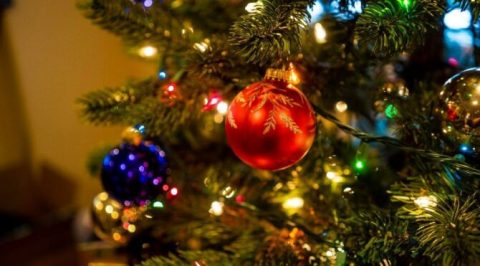 googledan-kafalari-karistiran-202-yilbasi-doodlei-Z1bQriDt.jpg HABERİM 724 | Google’dan kafaları karıştıran “202 Yılbaşı” Doodle’ı