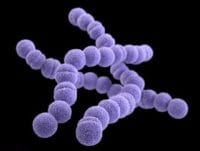 HABERİM 724 | Dünyada 31 milyondan fazla uyuşturucu bağımlısı var