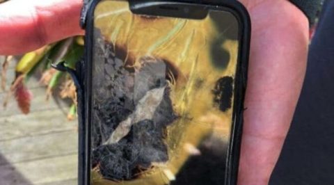 iphone-x-cebinde-patladi-ikinci-derece-yanikla-applea-dava-acti-lpsTgwly.jpg HABERİM 724 | iPhone X cebinde patladı, ikinci derece yanıkla Apple’a dava açtı