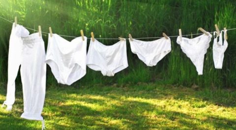 HABERİM 724 | İsviçreliler bilim için iç çamaşırlarını toprağa gömüyorlar