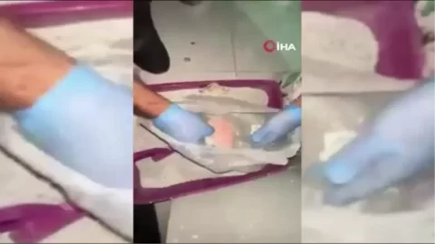 HABERİM 724 | Kedi kumu içerisinde uyuşturucu ele geçirildi