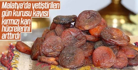 HABERİM 724 | Malatya'nın gün kurusu kayısısı alyuvarlarda artış sağlıyor