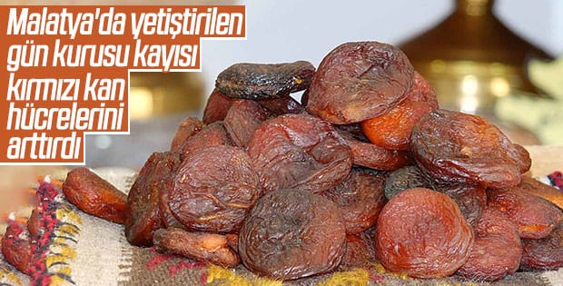 HABERİM 724 | Malatya'nın gün kurusu kayısısı alyuvarlarda artış sağlıyor