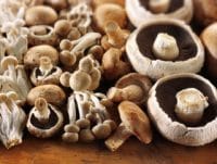 HABERİM 724 | Kütahyalı İsmail genç yaşta iki bireye umut oldu