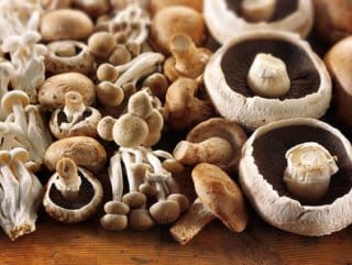 mantar-zehirlenmeleri-yuzde-34-artti-7pfI5Ivm.jpg HABERİM 724 | Mantar zehirlenmeleri yüzde 34 arttı