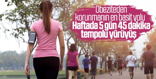 obezite-en-riskli-hastaliklar-siralamasinda-birinci-10da-Xel84DJD.jpg HABERİM 724 | Obezite en riskli hastalıklar sıralamasında birinci 10'da