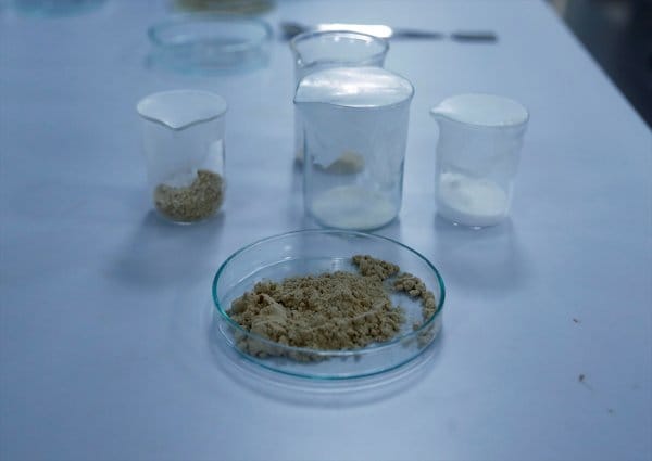 turk-bilim-insanlari-gida-sektoru-icin-yerli-enzim-uretti-4-nFgLrieR.jpg HABERİM 724 | Türk bilim insanları gıda sektörü için yerli enzim üretti