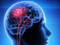 HABERİM 724 | Çocukları sağlıklı yiyeceklerle besleyin